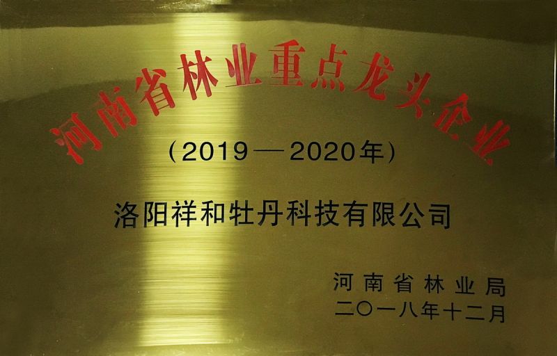 2019河南省林业重点龙头企业